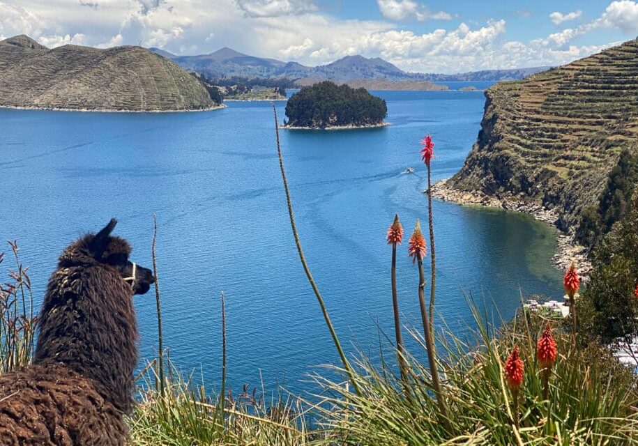 Discover Lake Titicaca and Machu Picchu with Collette