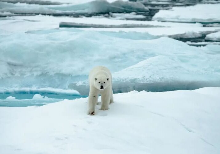 Enjoy a $150 Onboard Credit on Arctic Voyages with Quark Expeditions